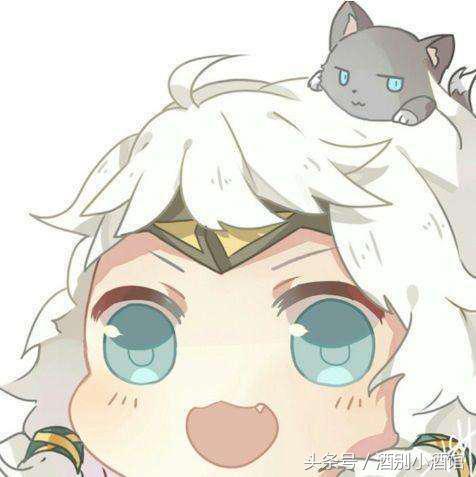 王者光荣里的宠物英雄有哪些,盘点王者光荣有宠物的英雄