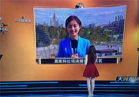 杨茗茗主持世界杯,世界杯主持人杨茗
