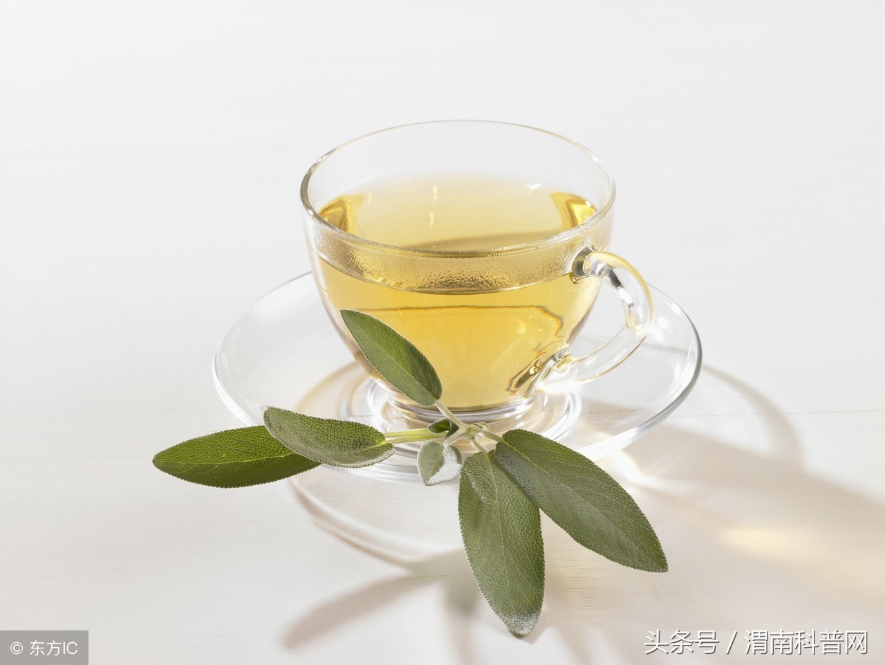 良药苦口下句,良药苦口下句话怎么说