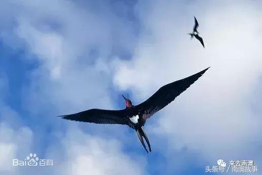 这座小岛究竟隐藏了多少秘密,一座鲜为人知的隐藏小岛