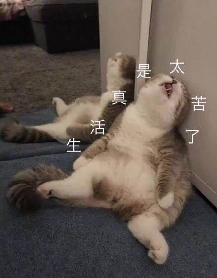 绝地求生没买皮肤游戏里却有皮肤,绝地求生所有装备一览表