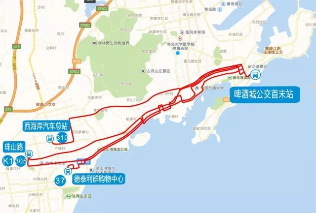 青岛啤酒节交通路线,青岛啤酒节开城攻略路线