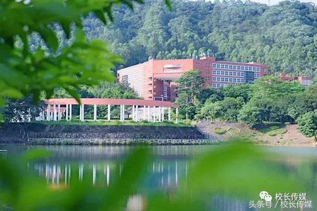 看世界杯决赛的过程,看世界杯决赛感受