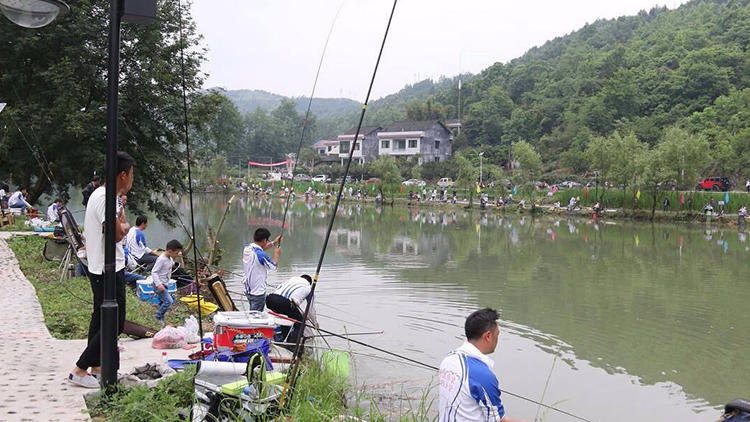 新手怎么挑选手竿,新手如何选择钓竿