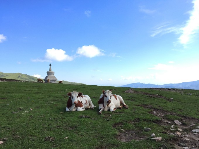 五台山最新旅游信息,五台山旅游攻略最详细