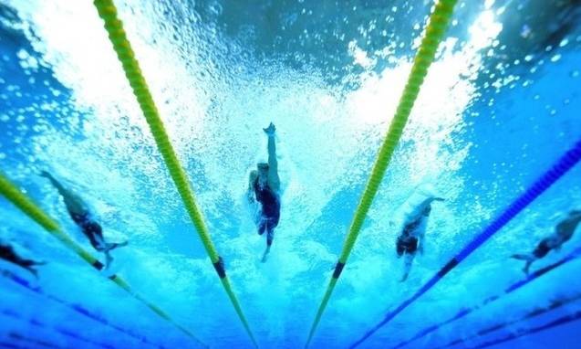 福州闽江世纪城潜水馆,福州台江区潜水馆推荐活动