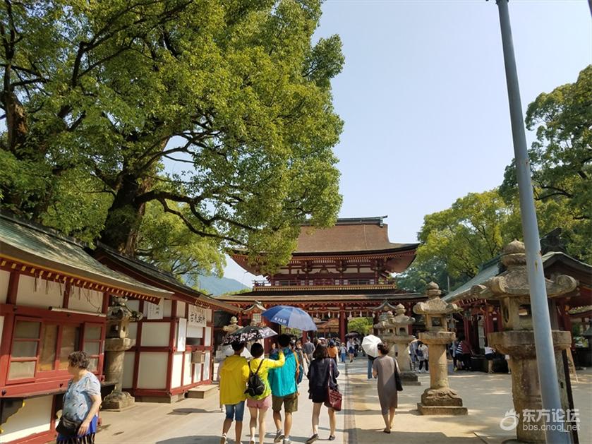 海洋量子号游轮旅游攻略,坐海洋量子号游轮旅游攻略