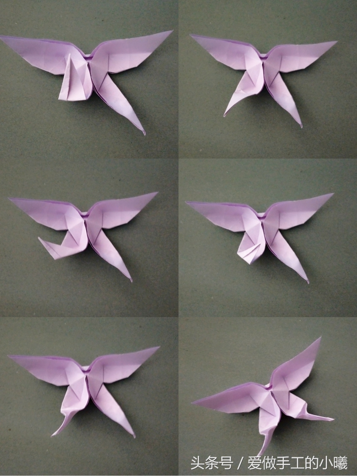蝴蝶折纸教程看过来,所有蝴蝶折纸教程