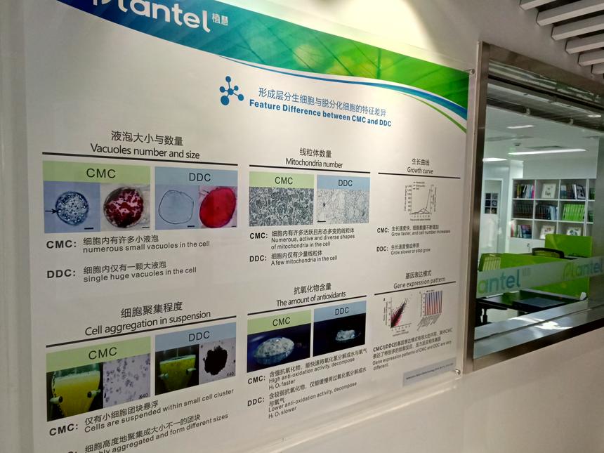 深圳市植慧植物干细胞研究院揭牌丨全球首个“植物干细胞银行（中国）”深圳正式运营