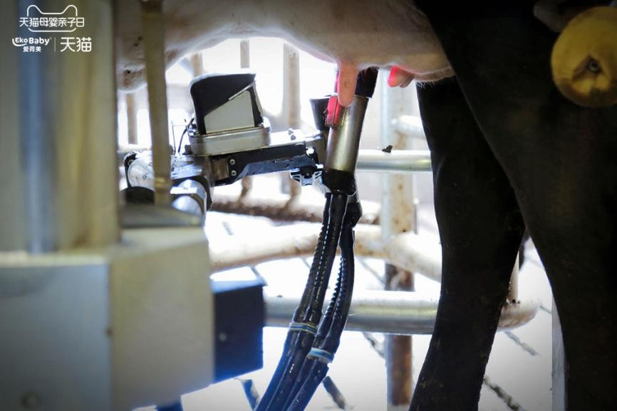 有机奶粉生产流程,深度解析有机奶粉