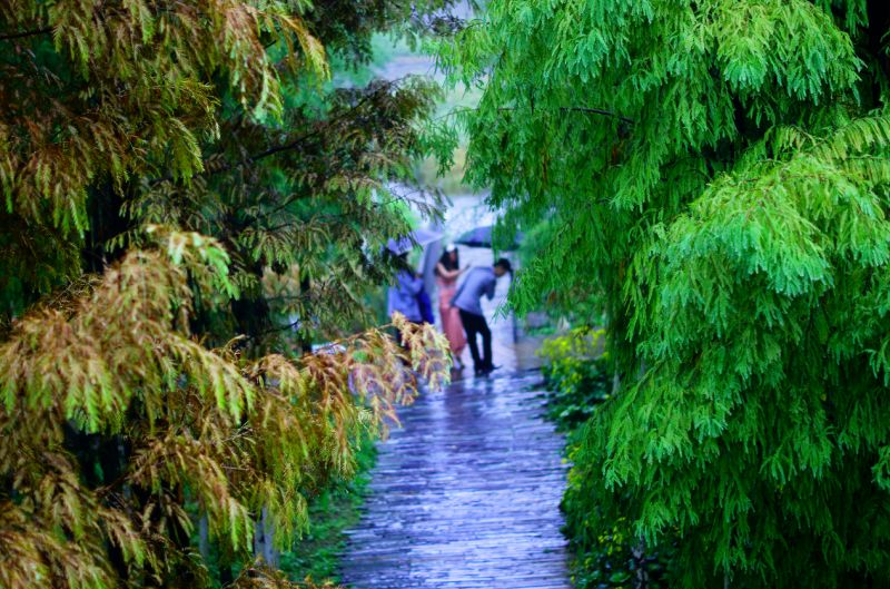 大兴区最新发展,大兴机场利好消息