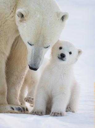 盗梦空间梦境运行原理,盗梦空间出现了几种科学解释