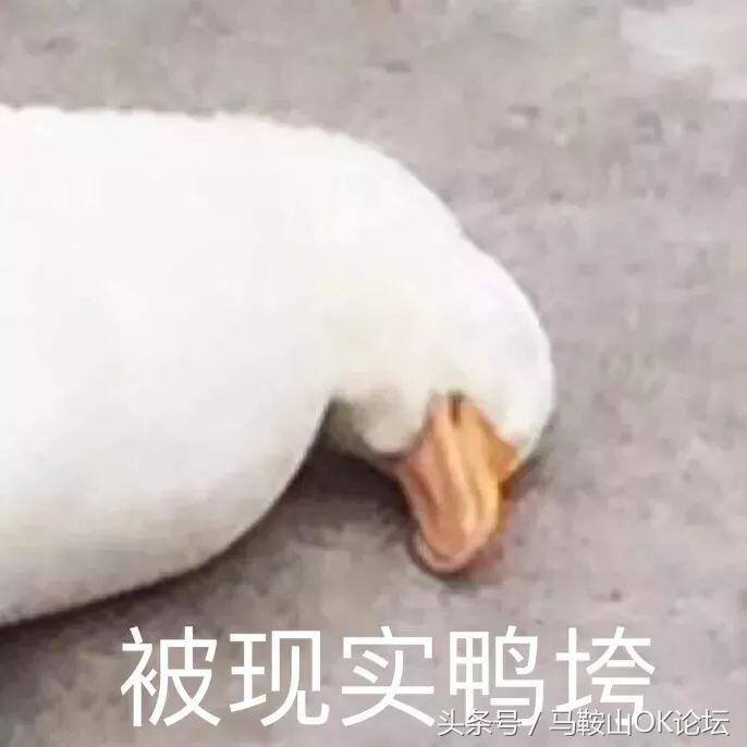 马鞍山人的“地铁梦”凉凉了？网友们却这样说！