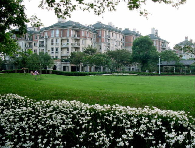 极耐阴花卉不需光照耐寒,光照不够的阳台适合种的耐阴蔬菜