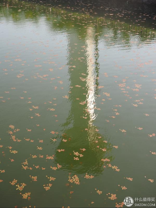 北海道札幌的散步之旅,日本北海道小樽旅游攻略