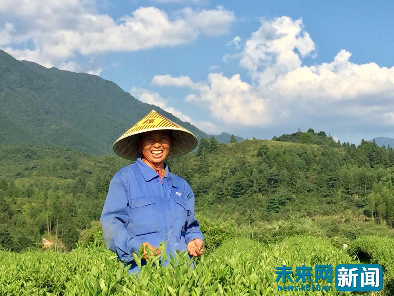 井冈山土特产发展现状,井冈山山货土特产正宗第一名