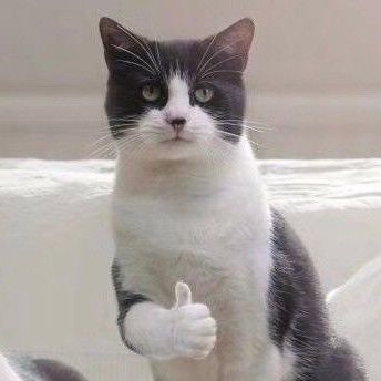 12星座的哪个头发最好看,12星座叶罗丽公主的头发