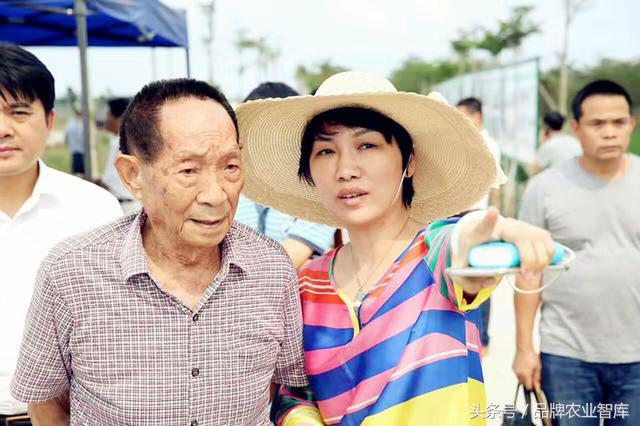 袁隆平捐200吨大米相当于多少钱,袁隆平的大米的推广