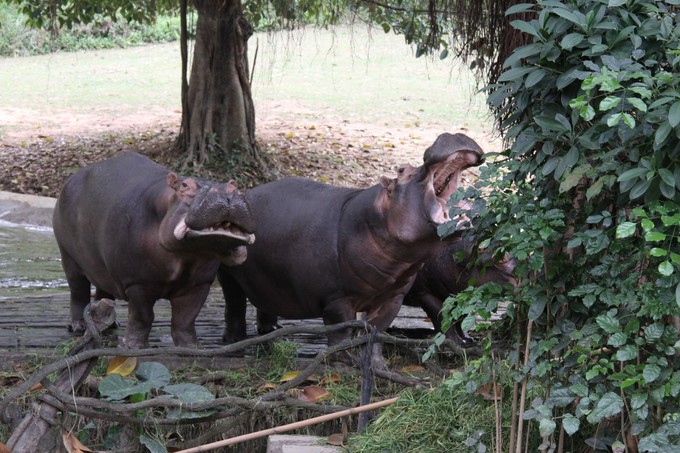 广州旅游亲子游三天两夜,广州两天一夜亲子游