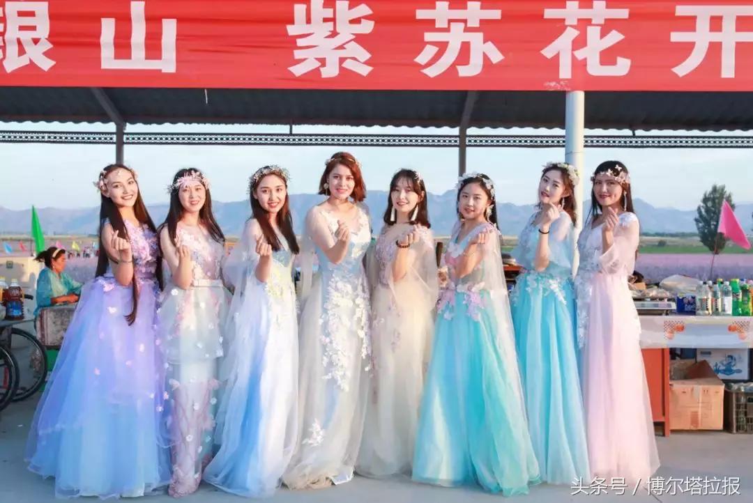 投票啦！快来支持你喜欢的紫苏仙子吧！