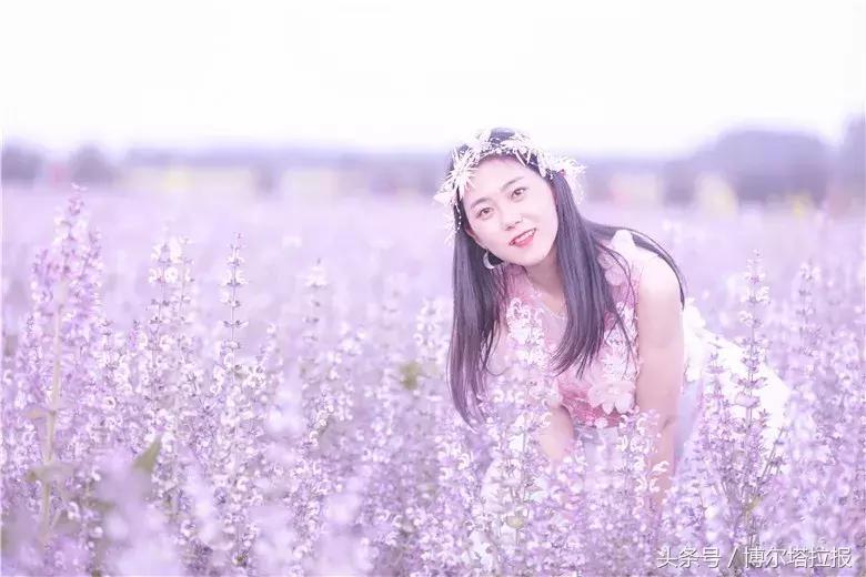 投票啦！快来支持你喜欢的紫苏仙子吧！