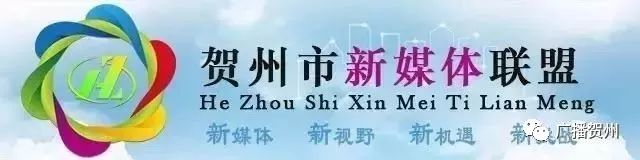 广西虫咬伤人,广西腿被虫咬伤