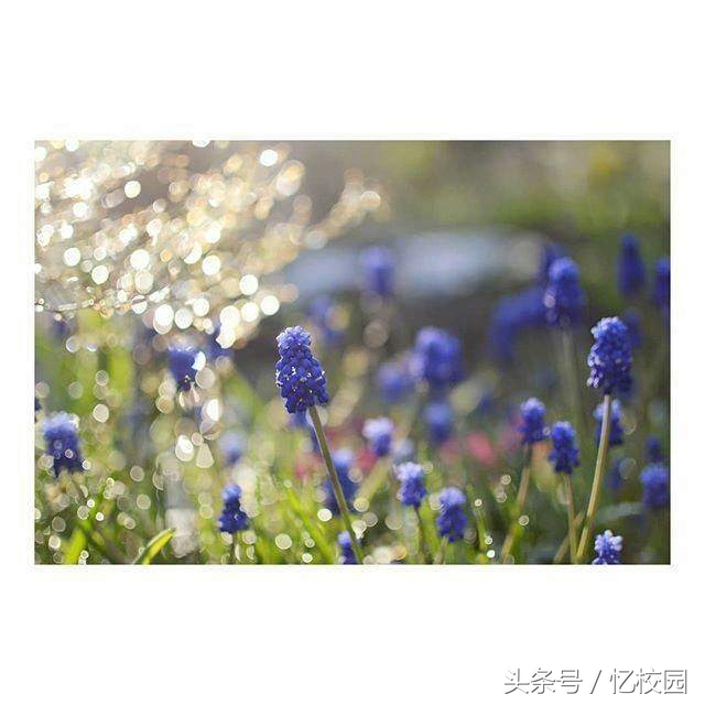 适合做qq签名的经典句子,适合做qq签名的句子短句