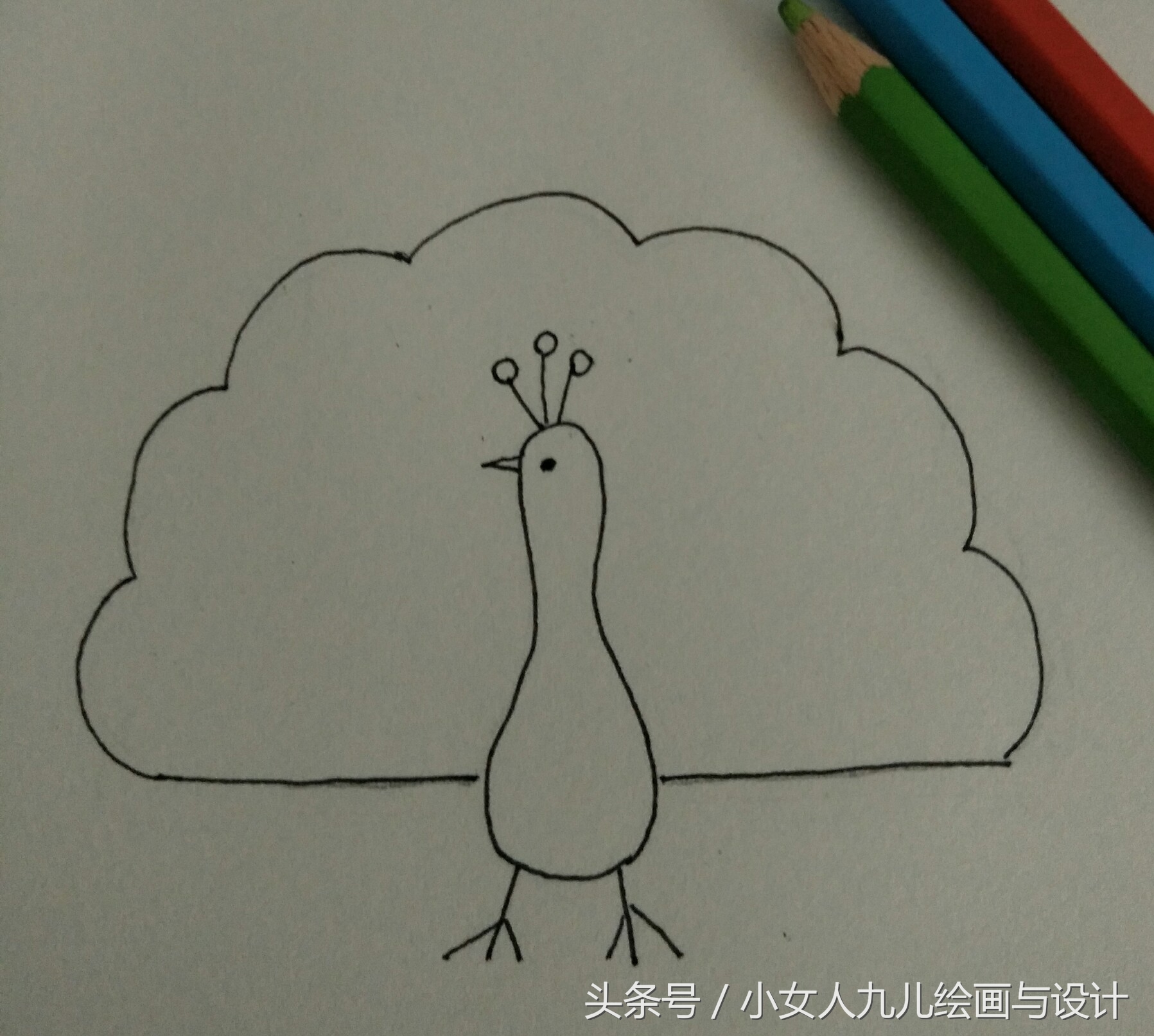 如何用手画孔雀简笔画,简笔画孔雀十二种画法