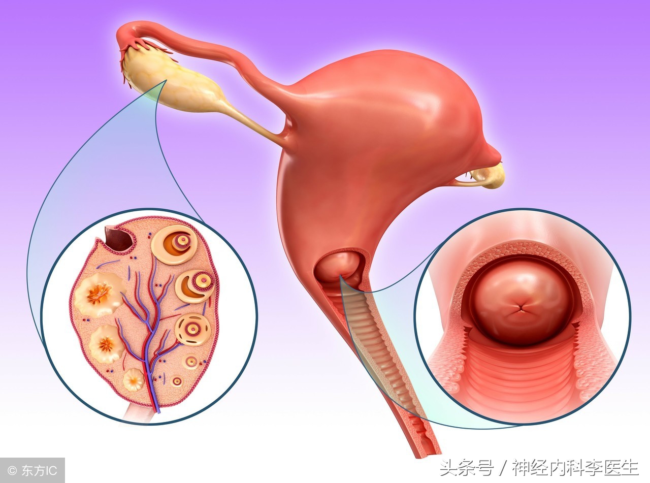 李医生说执业医师考试，「考点总结」妇科疾病篇（三）