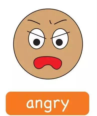 羞羞~动物和虫虫们不可言说的事