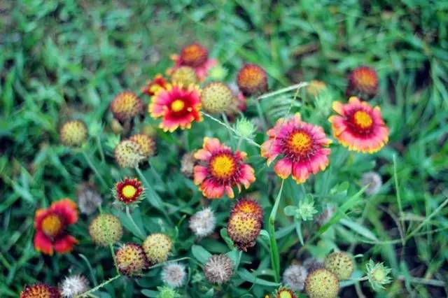 离沈阳比较近的海岛游推荐,不用签证可以去的岛屿