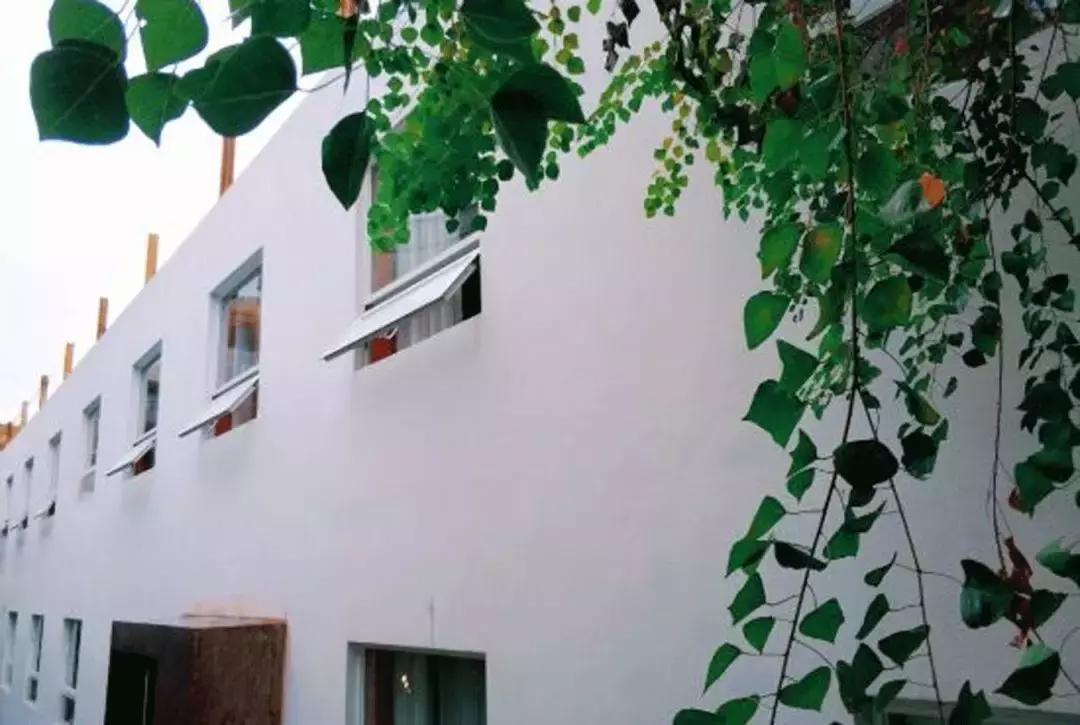 和梦里想的那个人去厦门……