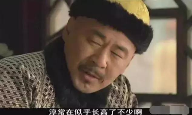 甄嬛传淳儿为什么被皇上招入宫,甄嬛传淳儿为啥那么早进宫