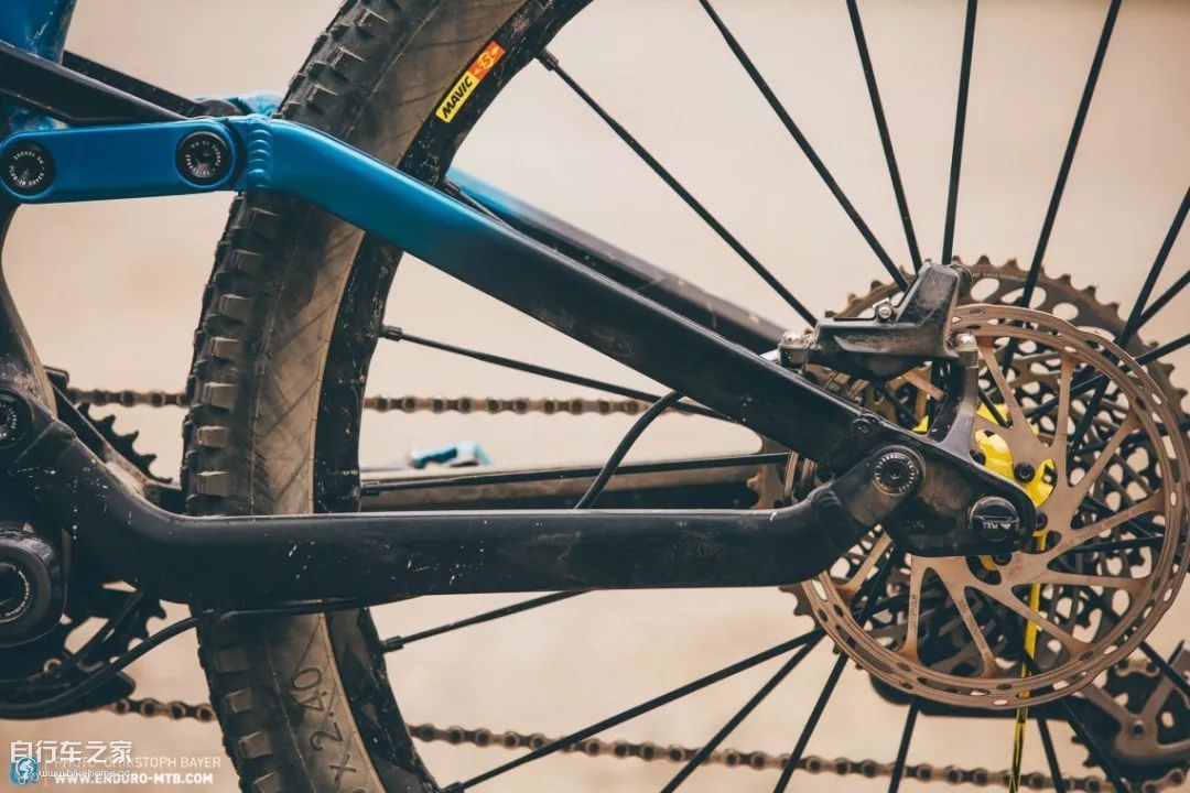 谁可登上德意志第一的宝座？CanyonTorque对决YTCapra