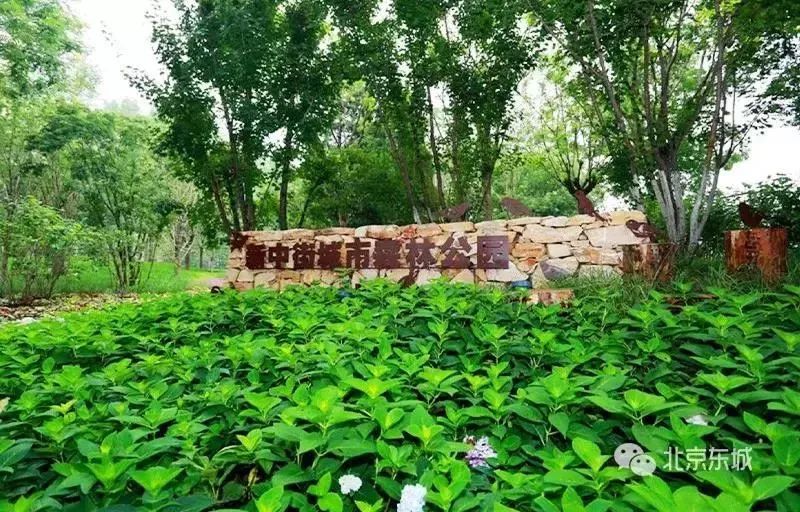 工体为何那么出名,工体为什么叫天花板