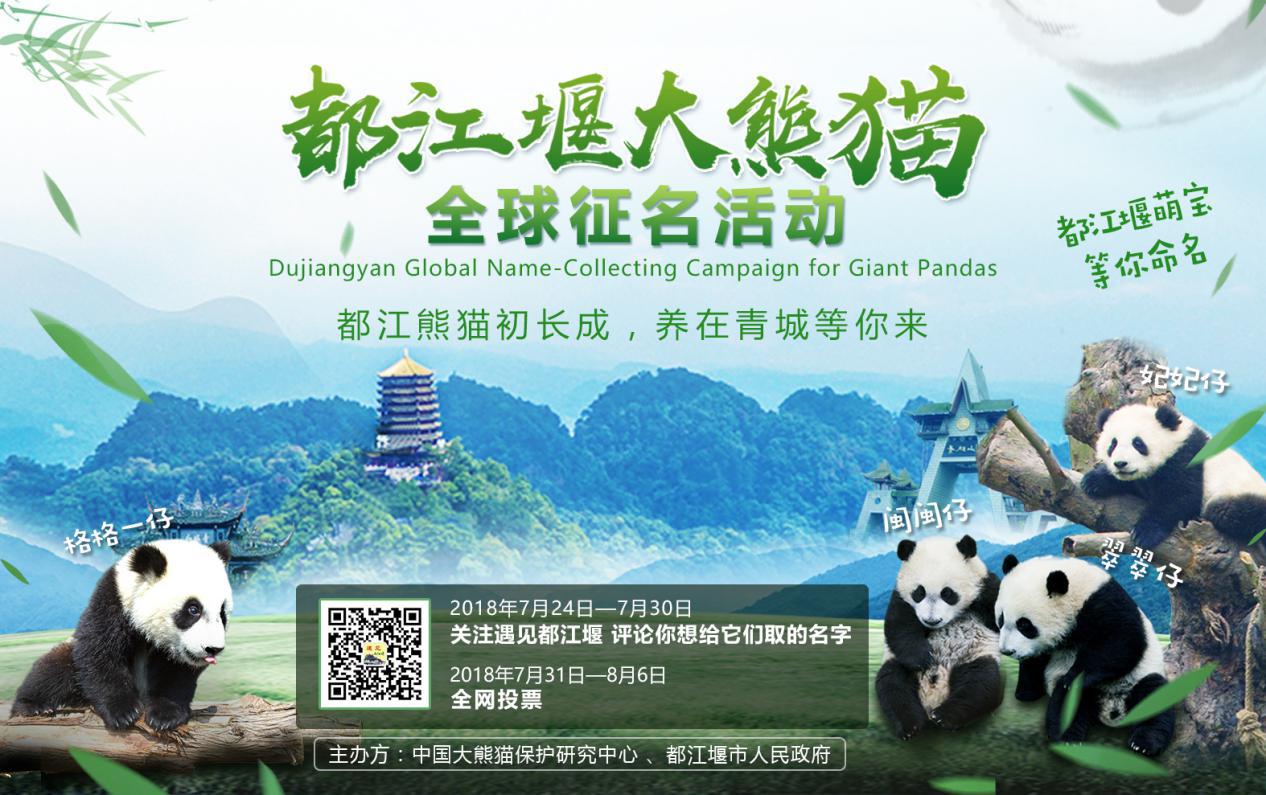 怎么给大熊猫和小熊猫取名,150秒看懂大熊猫起名那些事儿