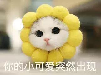 七款热门「定妆散粉」测评，再也不怕夏日出街溶妆！