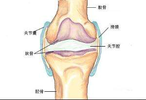 滑膜炎中医骨伤科的治疗方案,骨伤科医院能治滑膜炎吗