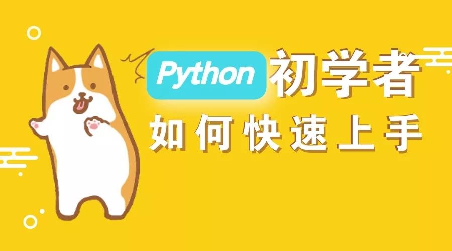 博导花了十天整顿出来的Python库，只希望我学好后高薪就业！