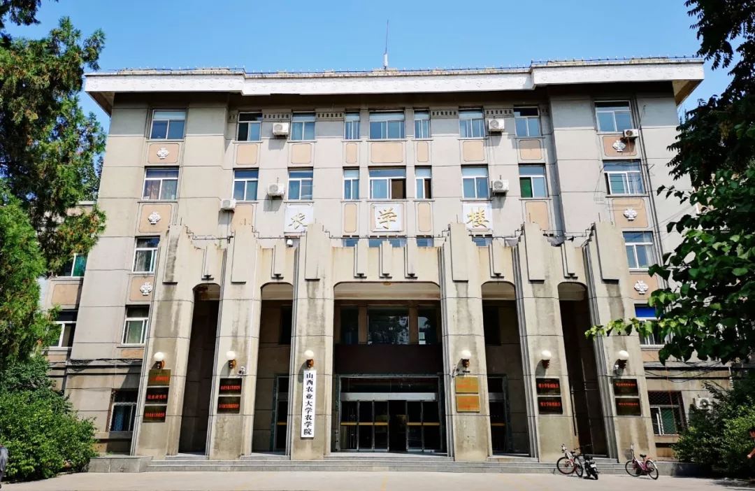 萌新攻略选修课,萌新攻略实用