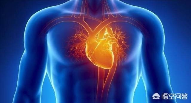 哪些内脏器官可以切除部分,人体策划切除都能切什么