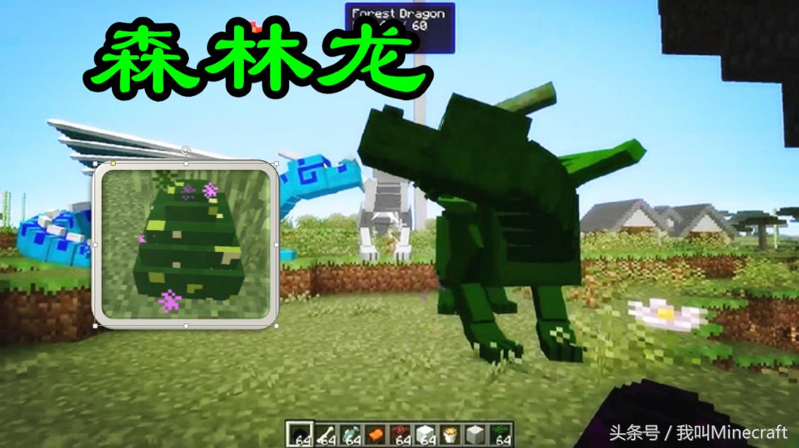 我的世界龙蛋怎么孵化一点就消失,我的世界龙蛋怎么孵化一点就不见