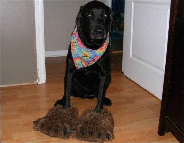 一位教授给孩子批改作业,一个老师给学生发试卷