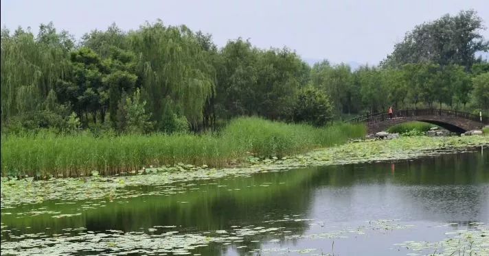 北京哪些公园对18岁以下免费,北京值得去的免费公园排名