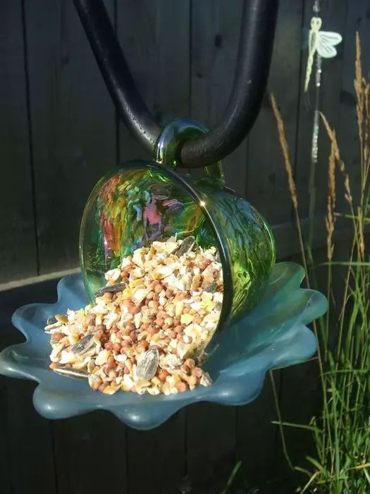 适合小庭院的盆栽,小盆栽推荐diy