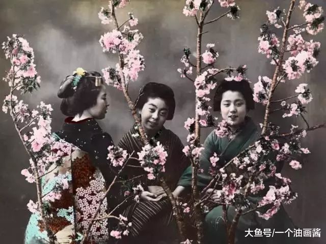 国家地理照片,国家地理年度照片