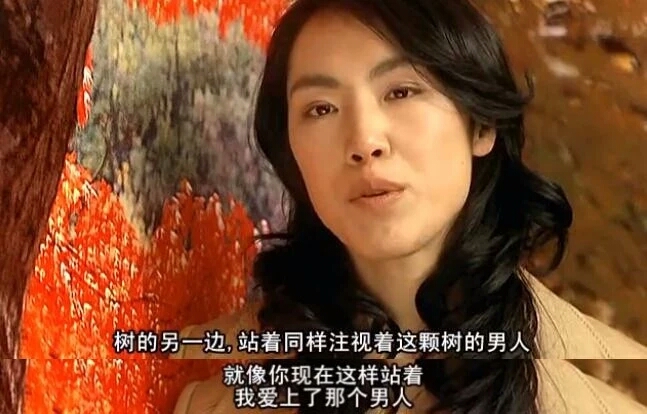 金基德经典视频,金基德年轻的照片