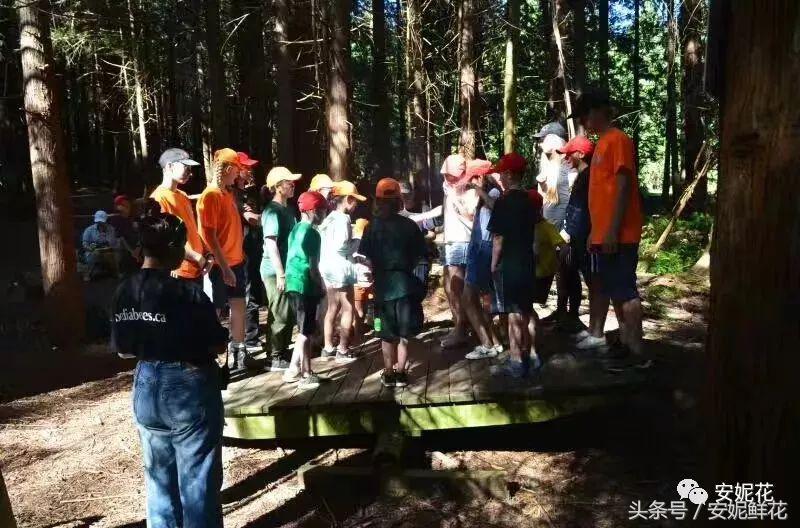 浸入式体验北美教育，安妮花2018童子军夏令营跨国行记