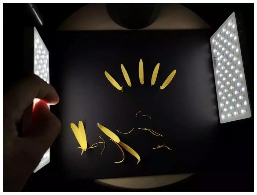 手机拍摄九宫格,手机摄影九宫格怎么设置