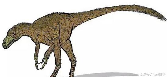 霸王龙的天敌食肉恐龙,巨型食肉牛龙对战霸王龙